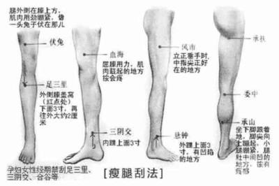 最快速有效的刮痧瘦腿法，如何轻松拥有迷人美腿附穴位图 瘦腿 第8张